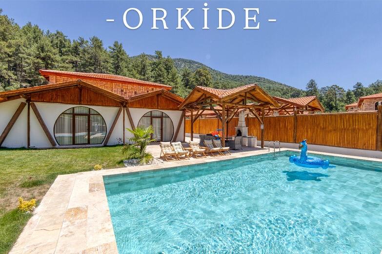 Orkide
